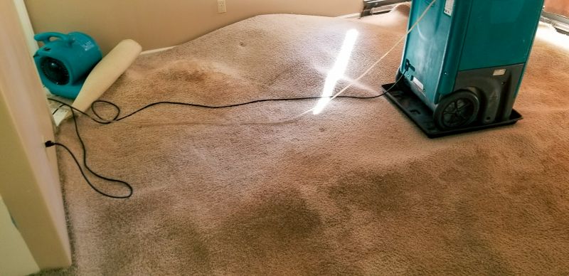 Rug Repair Service