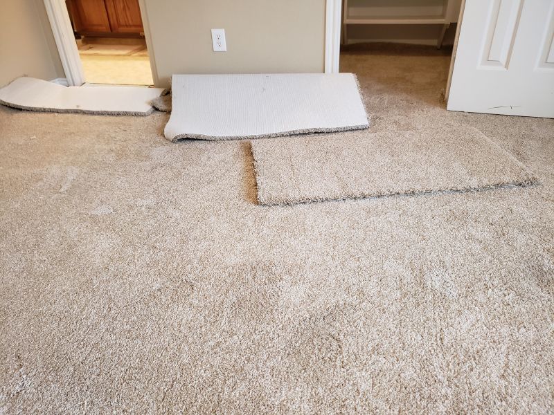 Carpet Repair Service in Alpharetta, GA
