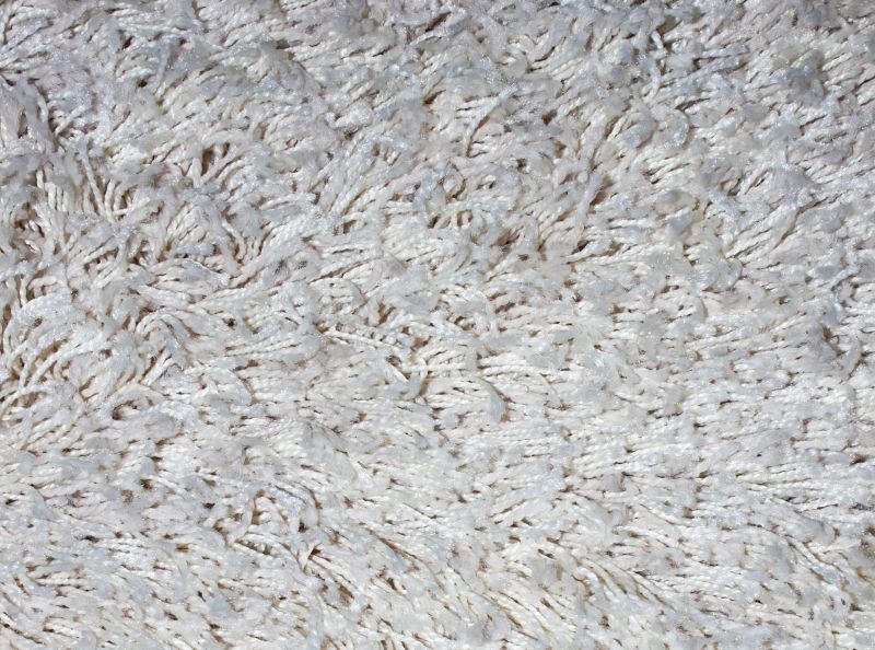 Pet Stain Carpet Repair in Olathe, KS